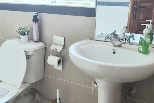 a bathroom with a sink and a toilet and a mirror at Modern &homely guest suite w/free parking in Karen in Nairobi