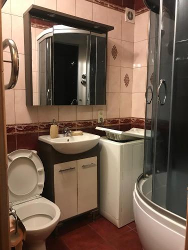a bathroom with a toilet and a sink and a shower at Затишна однокімнатна квартира 5 хв від Південного вокзалу in Kharkiv