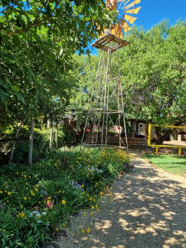 Hollybrooke Adventure Farm – Photos 3