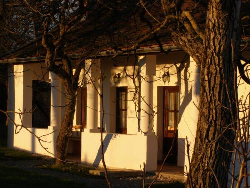 a white house with trees in front of it at Őrségi Tornácos Vendégfogadó in Felsőszenterzsébet