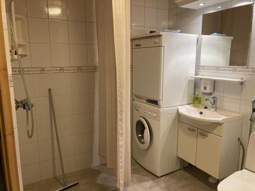コリンカイラにあるKolin saunaharjuのバスルーム(洗濯機、シンク付)