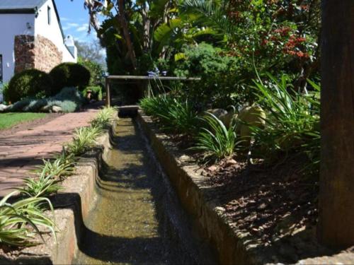 a garden with a water fountain in a yard at The Oil Mill Guesthouse in Swellendam