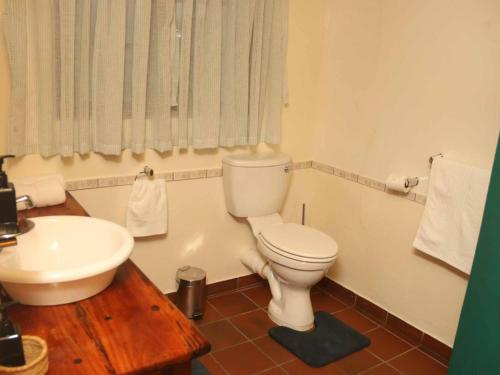 a bathroom with a white toilet and a sink at The Oil Mill Guesthouse in Swellendam