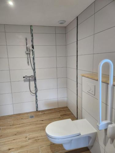 a bathroom with a toilet and a shower at Gites Jura Sud in Charchilla