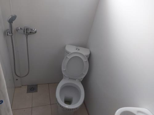 a bathroom with a toilet and a shower at Studio apartman Planinska Bajka in Olovo