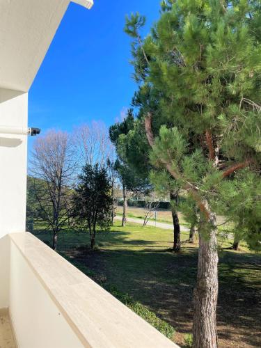 Quadrilocale Riva del sole 59 - oasi di pace tra mare natura e piscina Free