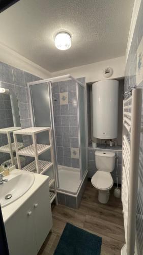 une salle de bain avec toilettes, douche et lavabo dans l'établissement T2 Bixta Eder, réveillez-vous avec cette vue !, à Cauterets