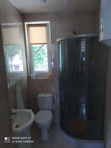 a bathroom with a toilet and a shower and a sink at Całoroczny domek letniskowy nad zalewem Chańcza in Życiny