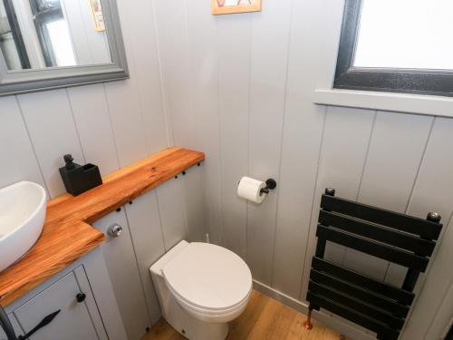 a small bathroom with a toilet and a sink at The Queen Bee in Pembroke