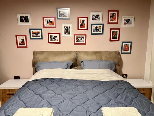 Ένα ή περισσότερα κρεβάτια σε δωμάτιο στο Apartment in Skanderbeg Square - Tirana Center 1