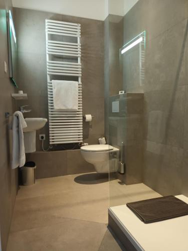 a bathroom with a toilet and a sink at L'ALBIZIA in Libin