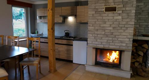 - une cuisine avec une cheminée au milieu d'une pièce dans l'établissement Apartamenty Lucky-ski, à Ustrzyki Dolne