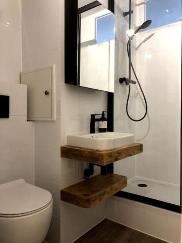une salle de bain avec un lavabo, des toilettes et un miroir dans l'établissement Apartment Bourg St Maurice, à Bourg-Saint-Maurice