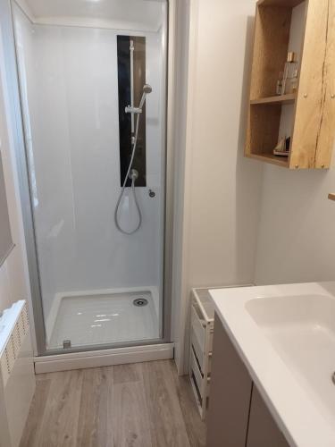 La salle de bains est pourvue d'une douche, d'un lavabo et d'un comptoir. dans l'établissement mobil home lac des reves, à Lattes