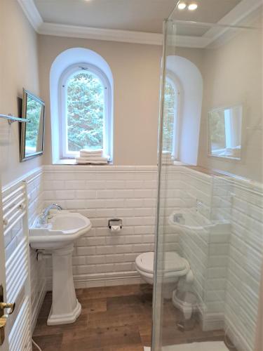 a bathroom with a sink and a toilet and a shower at Lesní Hotel Peršlák in Nová Bystřice