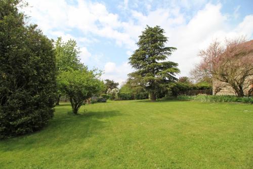 a large grassy yard with a tree in the distance at Chez doussaud in Bessines-sur-Gartempe