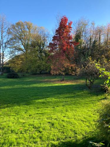 a grassy field with a tree in the background at L'aire des oiseaux in Muno