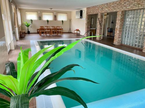 a large swimming pool with a plant in the middle at Villa Vinea in Etyek