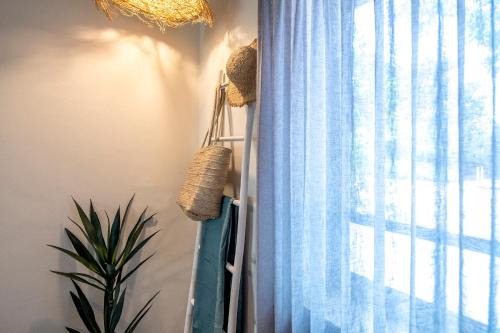 a window with a blue curtain and a plant at כפר הנופש קיבוץ גדות Kibbutz Gadot Galilean Resort in Gadot