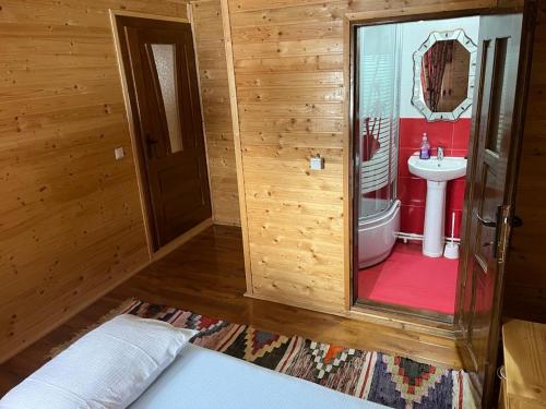 Cette chambre comprend une salle de bains pourvue d'un lavabo et de toilettes. dans l'établissement Cabana Sânziana, à Gîrda de Sus