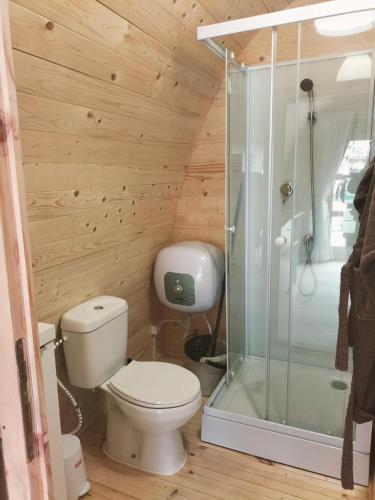 Un pequeño baño con inodoro y ducha. en LAS CASAS DE DURÓN, en Durón