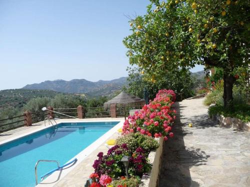 a swimming pool with pink flowers next to at La Molina Del Olivar - Peaceful Location in Ríogordo