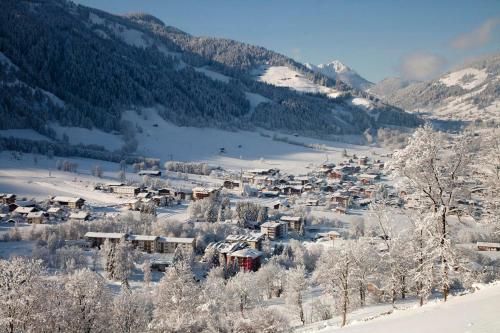 a small village in the snow on a mountain at Exklusiv Apartment Sonnenalp in Niederau