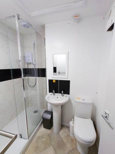 a bathroom with a toilet and a sink and a shower at No.7 Perran View in St. Agnes