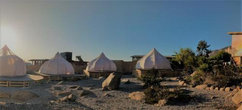 un groupe de tentes assises dans le sable dans l'établissement Totoralillo Glamping, à Coquimbo