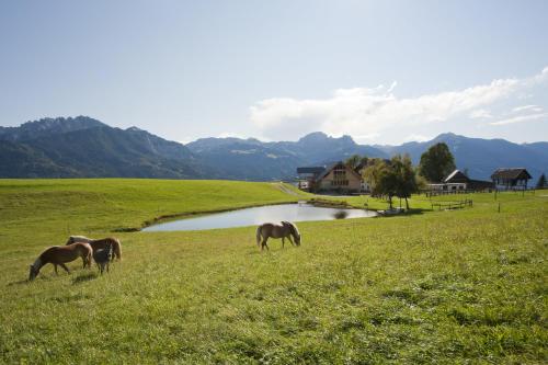 three horses grazing in a field next to a river at Mösslacher's Ferienwohnungen in Hermagor