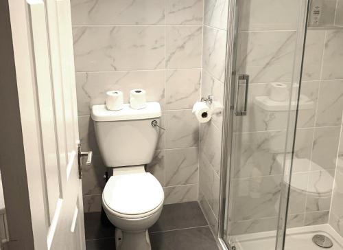 La salle de bains est pourvue de toilettes et d'une douche en verre. dans l'établissement Burren Seaside Lodge, à Ballyvaughan