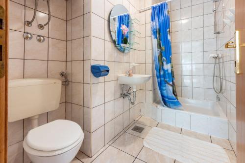 a bathroom with a toilet and a sink and a shower at Apartments NEVEN in Grižane