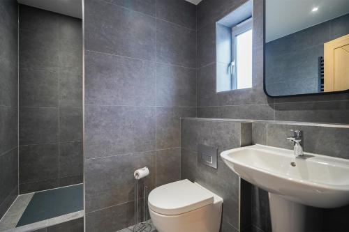 a bathroom with a toilet and a sink and a mirror at Cheshire Mews in Castleton