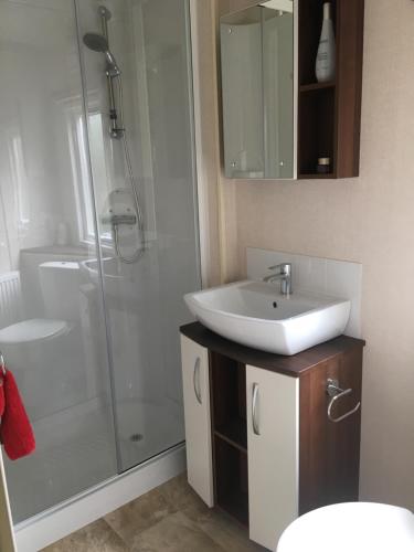 a bathroom with a white sink and a shower at alphi3 in Bude