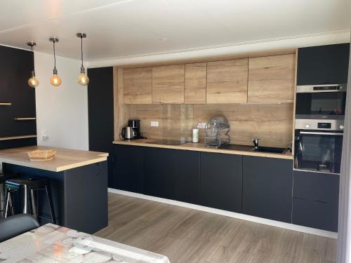 Η κουζίνα ή μικρή κουζίνα στο Modern and cosy ecolodge, shared heated pool, Les Mathes
