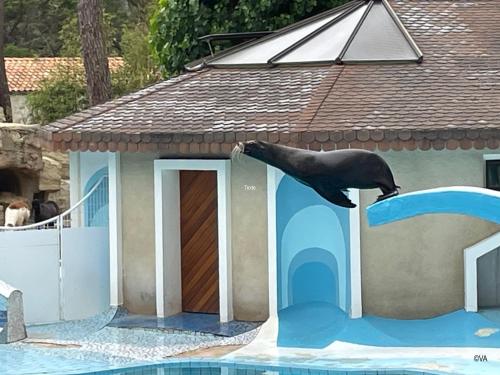Πισίνα στο ή κοντά στο Modern and cosy ecolodge, shared heated pool, Les Mathes