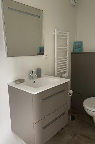 une salle de bain avec un lavabo blanc et des toilettes dans l'établissement Charming eco-lodge with heated pool and jacuzzi all year round in Charente-Marit, aux Mathes