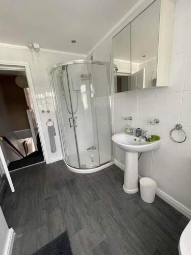 a bathroom with a shower and a sink at Port Lodge Northern Ireland in Portaferry