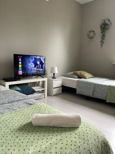 een slaapkamer met 2 bedden en een flatscreen-tv bij Szumi Las Bed & Breakfast in Józefów
