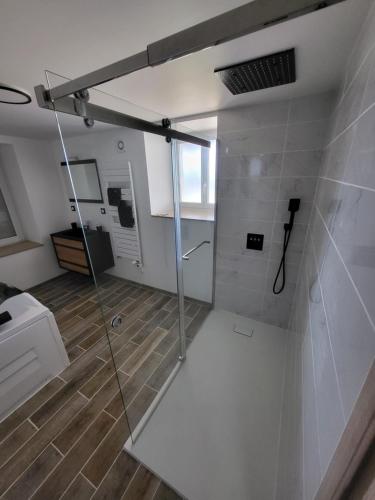 een badkamer met een douche en een glazen deur bij Gites les Gambes in Échenoz-le-Sec