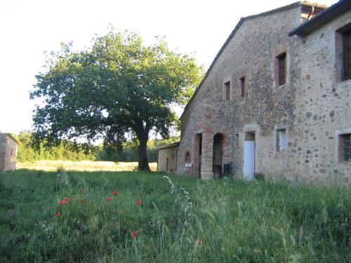 an old stone building with a tree in a field at Agriturismo il Casalino in Pari