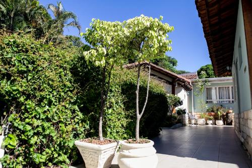 a couple of trees in white pots in a yard at Pousada Sossego da Pampulha in Belo Horizonte