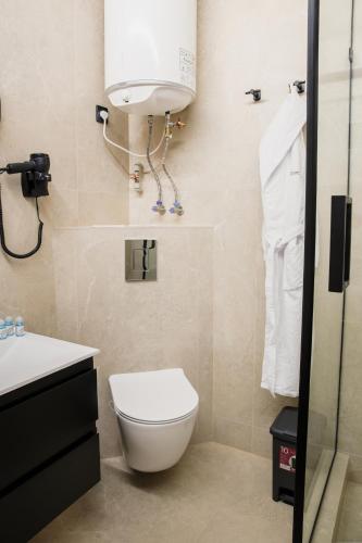 a bathroom with a toilet and a sink at Apart 1 Chernivtsy in Chernivtsi