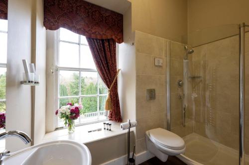 a bathroom with a shower and a sink and a toilet at Belleek Castle, Ballina in Ballina