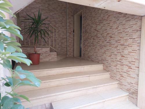 a brick wall with stairs and a potted plant at Cozy Home 2 in Amman