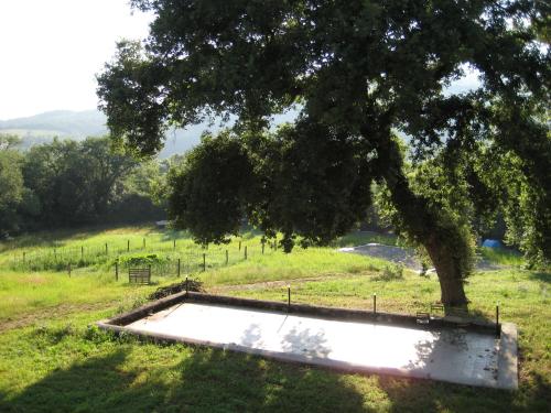 a pool in the middle of a field with a tree at Agriturismo il Casalino in Pari