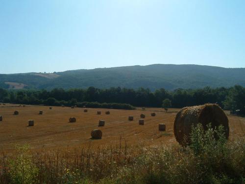 a field full of hay bales in a field at Agriturismo il Casalino in Pari