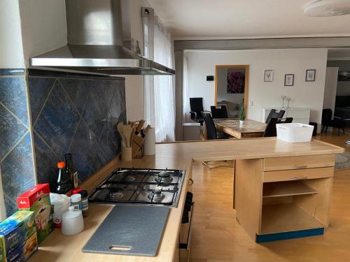 Η κουζίνα ή μικρή κουζίνα στο Apartment Q im Zentrum von Königsbronn Monteurzimmer