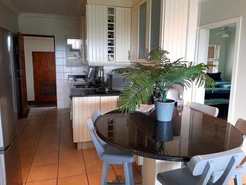 a kitchen with a table with a potted plant on it at Dadda's Place 2 in Port Shepstone