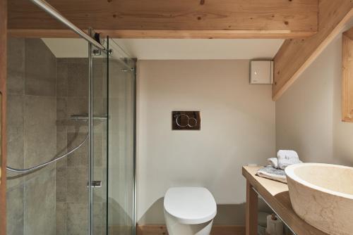 a bathroom with a shower and a toilet and a sink at Luxueux chalet avec terrasse Auron in Saint-Étienne-de-Tinée